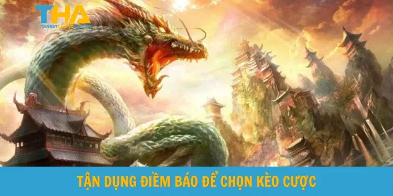Tận dụng điềm báo để chọn kèo cược